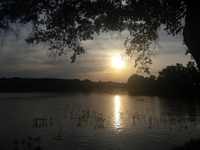 Alabama