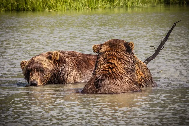 Alaska
