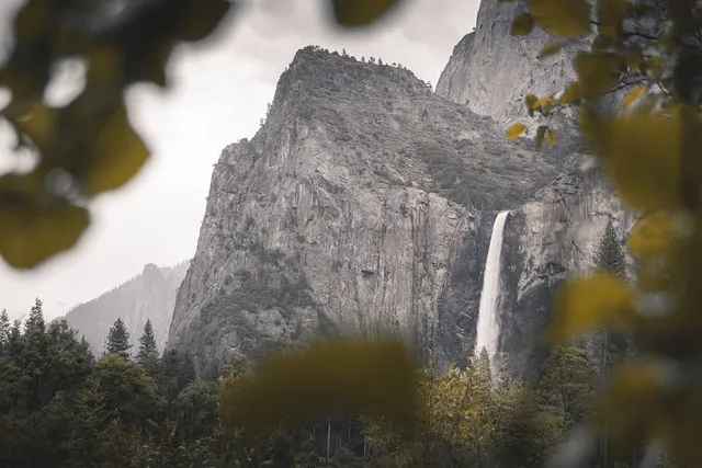 California