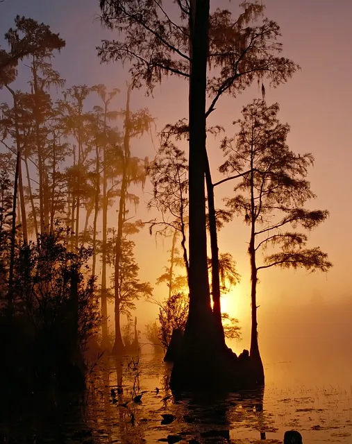 Florida