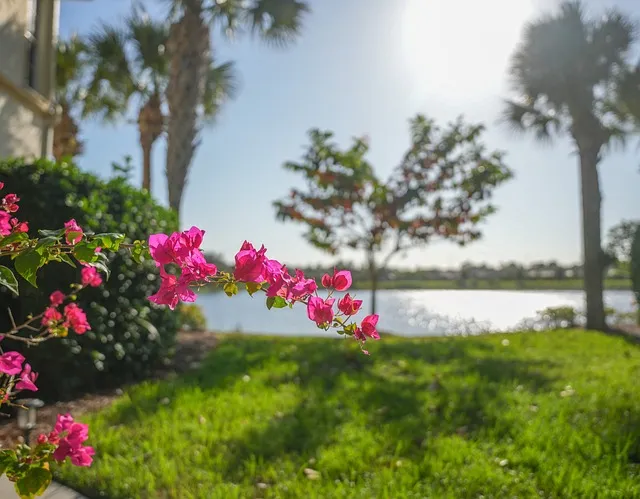 Florida