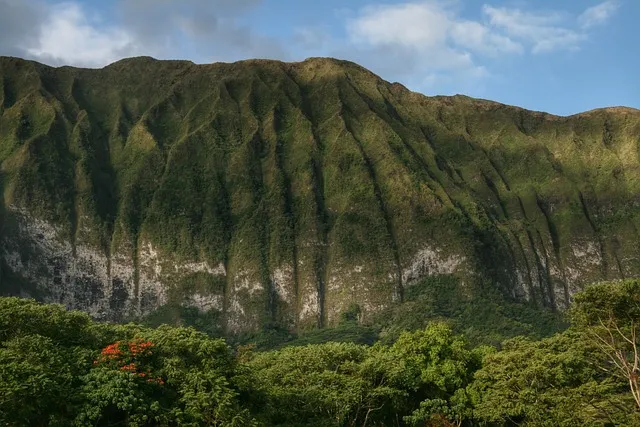 Hawaii