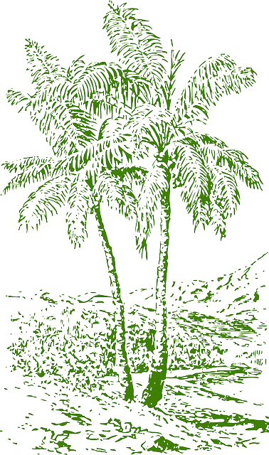 Hawaii