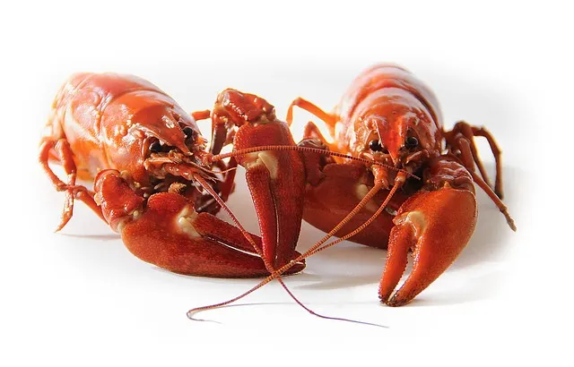 Seafood Restaurants in Delaware