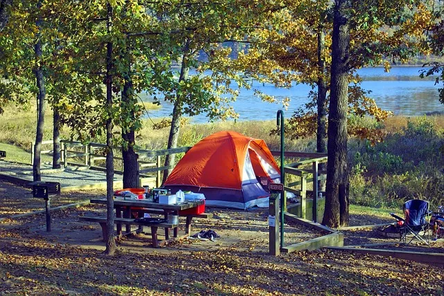 arkansas-640x480-10209139.jpeg