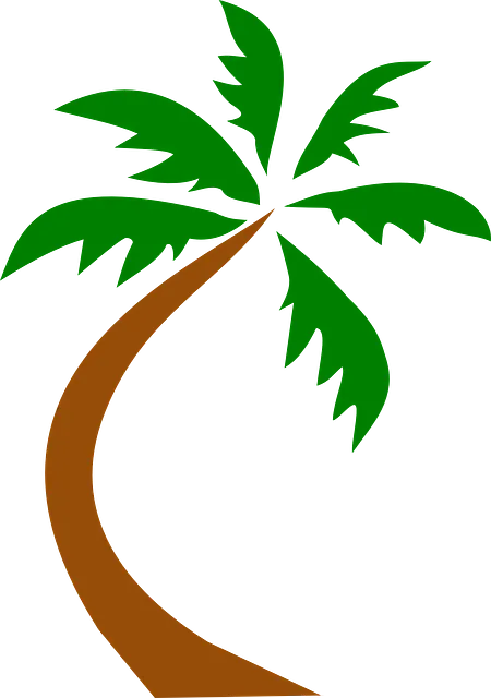hawaii-640x480-8829945.png