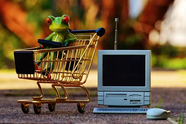 online-640x480-3703055.jpeg