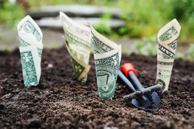 Unlocking Low-Interest Business Loans for Plano Tx Working Capital