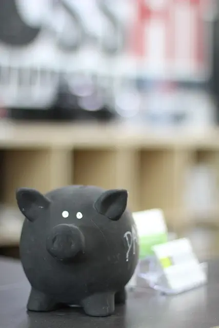 McAllen Startup Funding: Loans & Wholesale Financing Strategies Unveiled