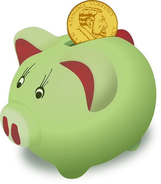 Business Cash Flow Loans The Woodlands Tx: Startup Financing Strategies